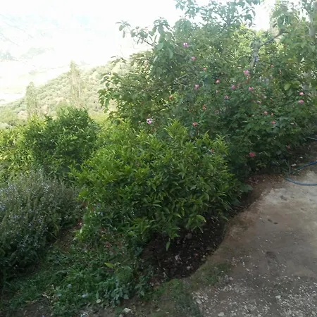 Ferienwohnung Dar Lala Zhour Douar Ain Bouchrik Exterior foto