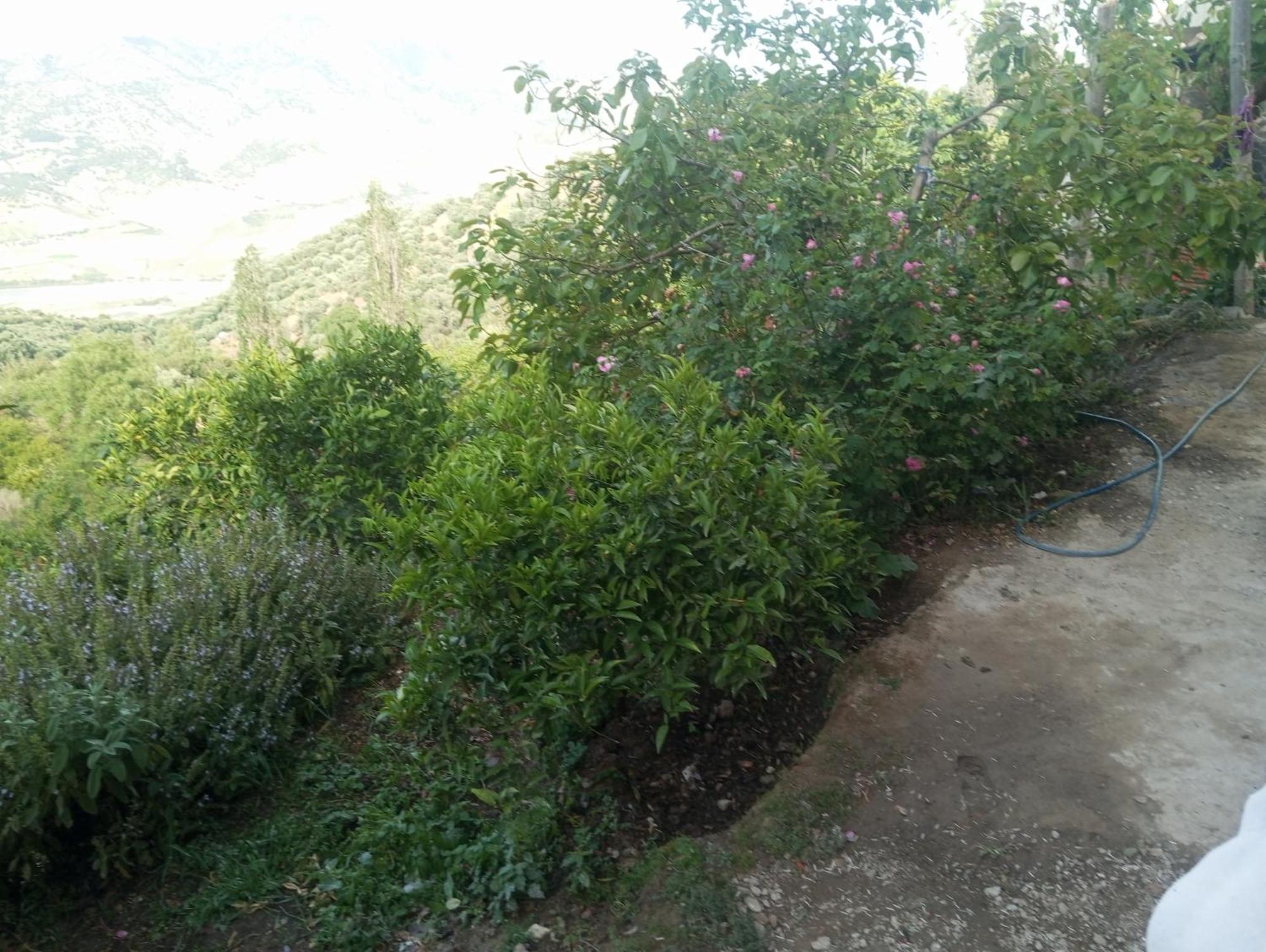 Dar Lala Zhour *